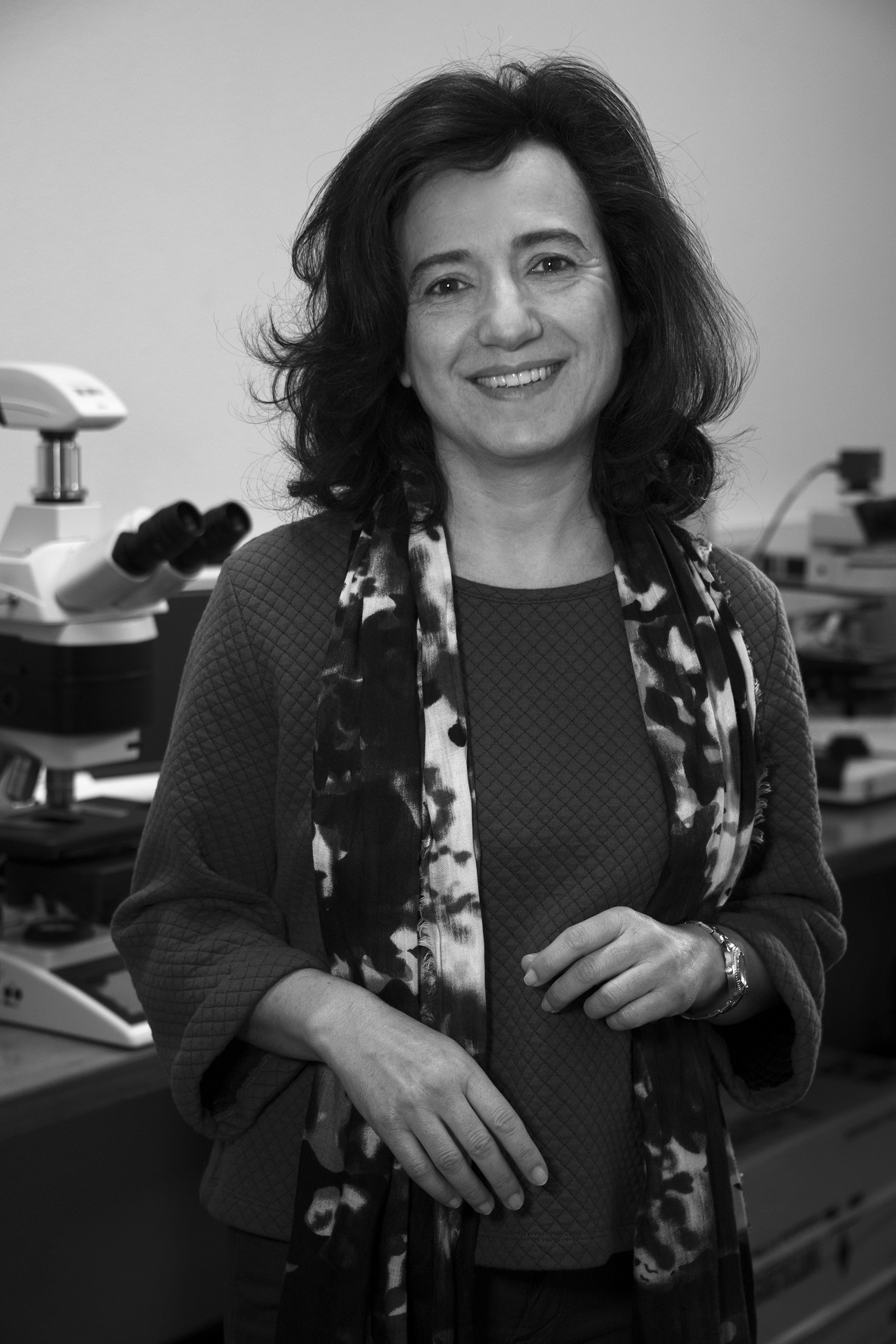 Cláudia Pascoal (foto de José Nascimento)