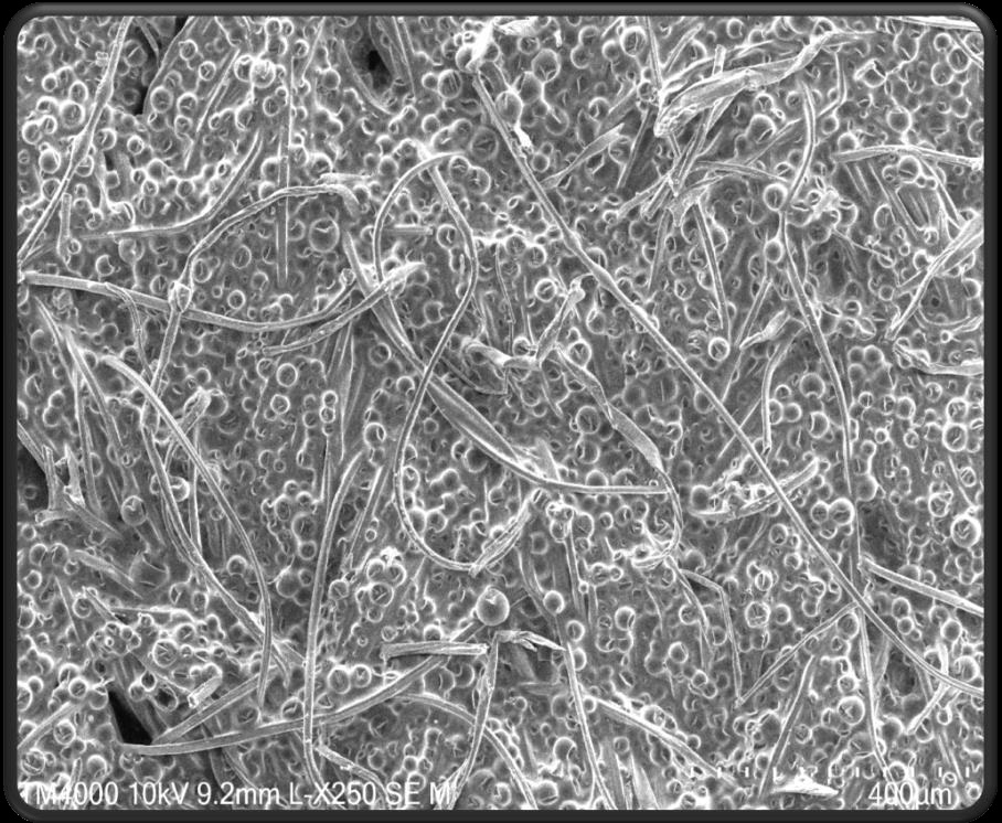 Análise no microscópio eletrónico de varrimento às partículas que regulam a temperatura, bem como a sua dispersão