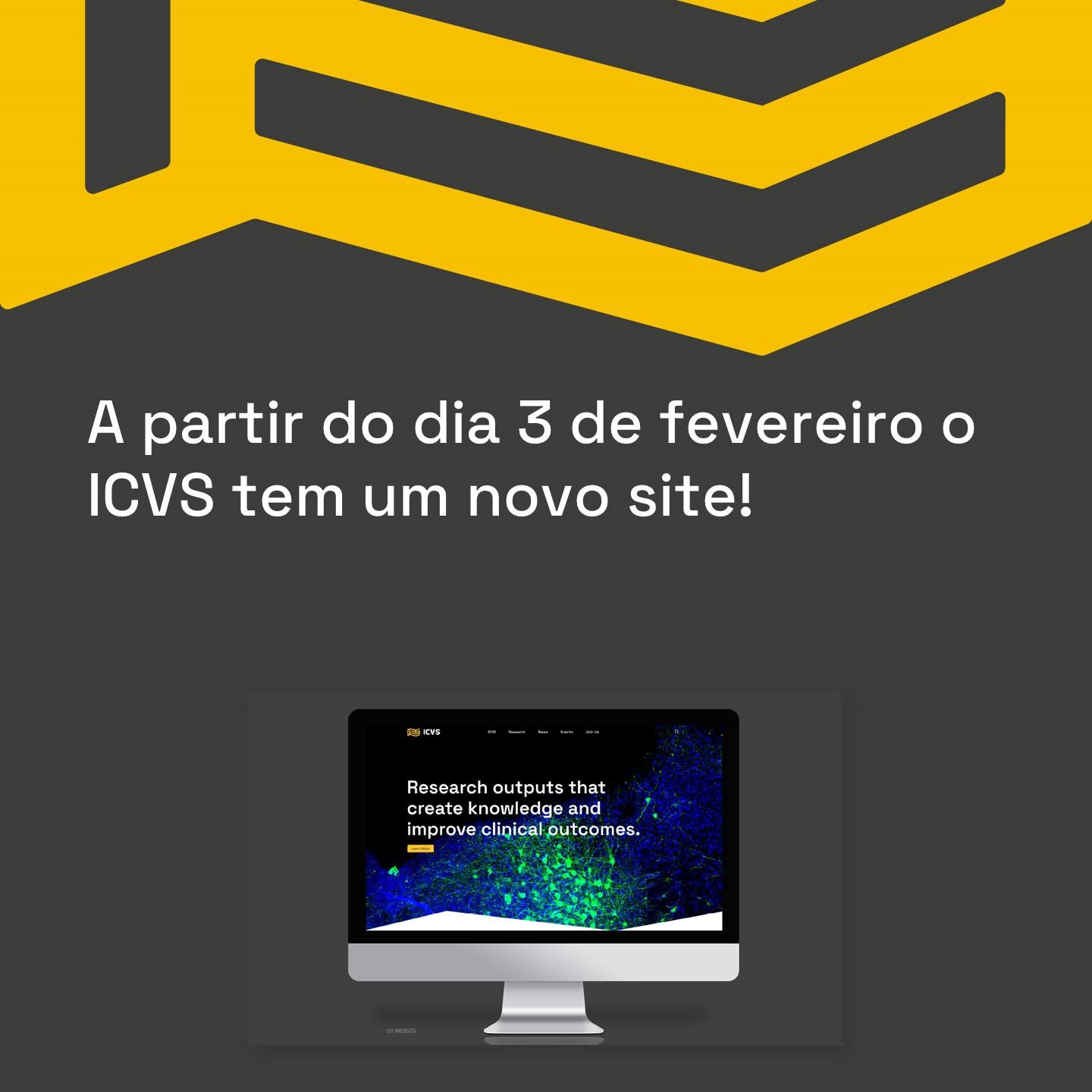 ICVS - site