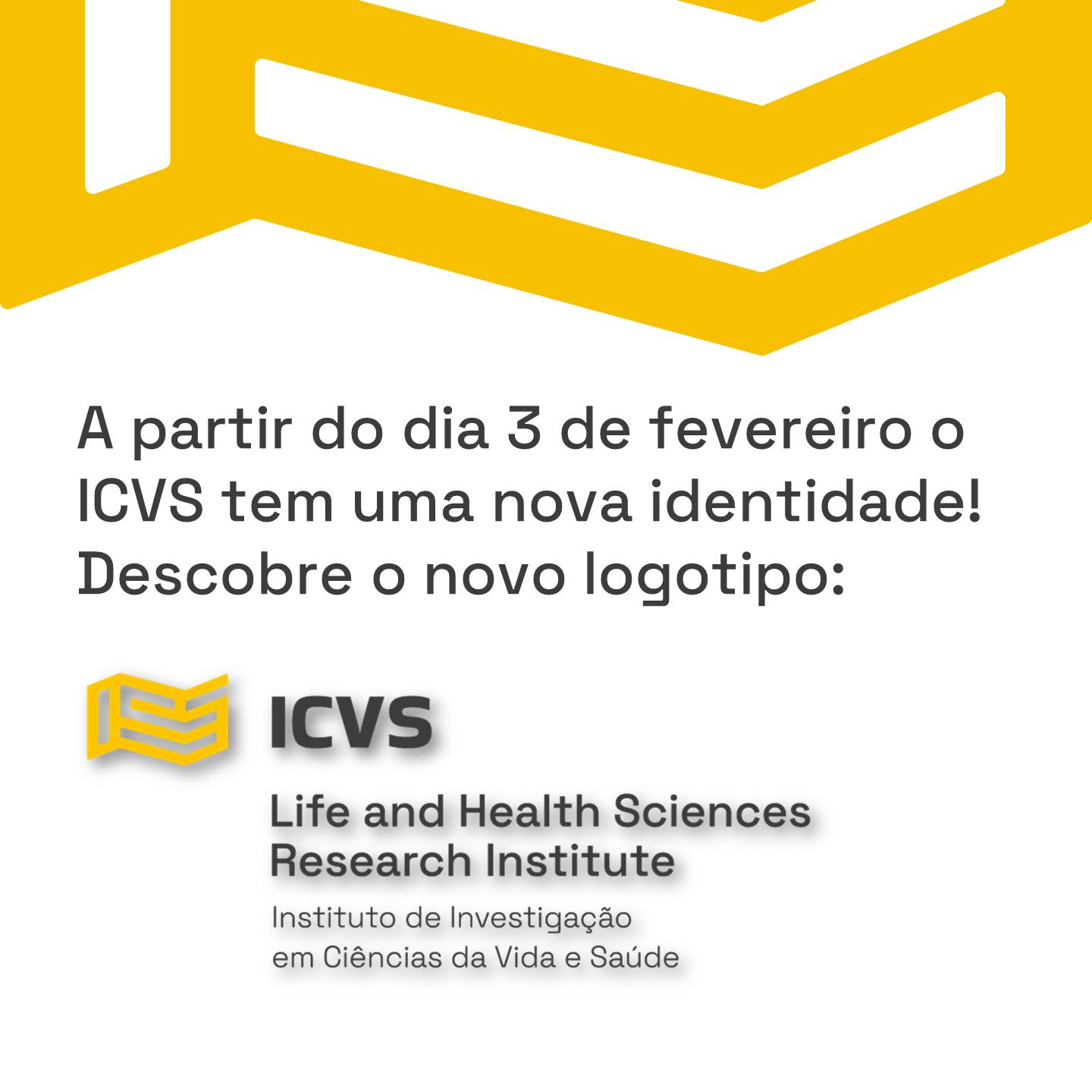 ICVS - logo
