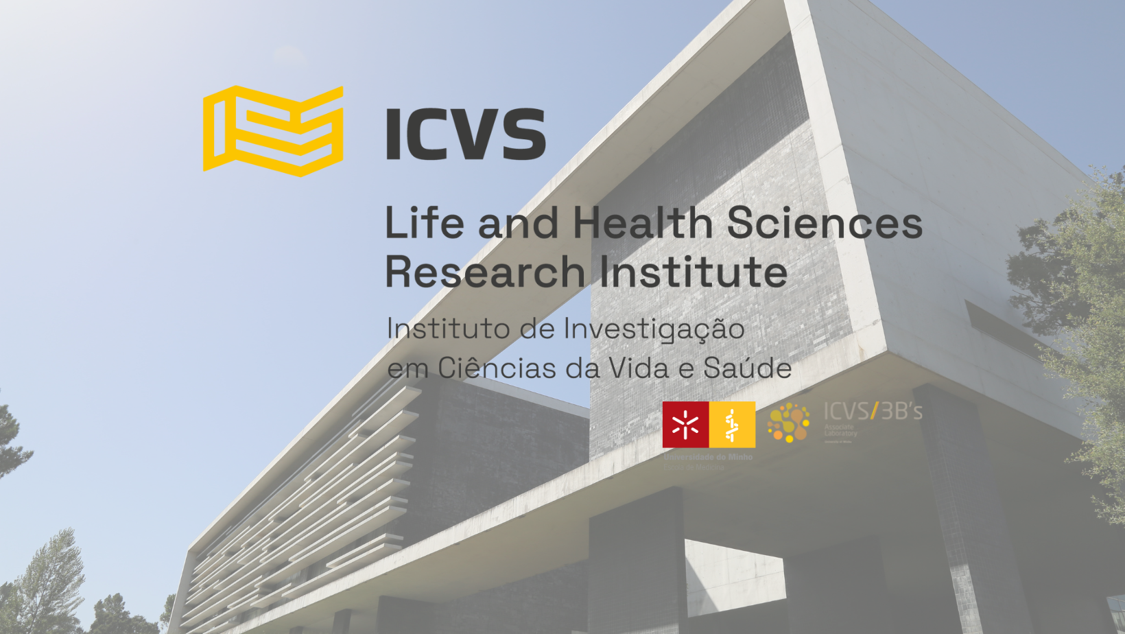ICVS - logo