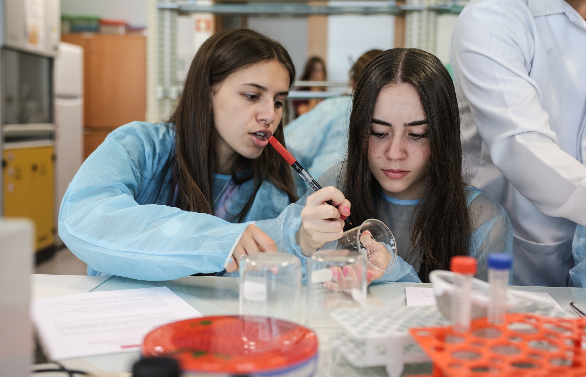 Foto: Nuno Gonçalves