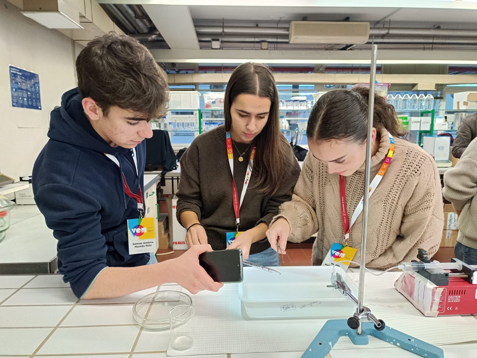 Foto: Nuno Gonçalves