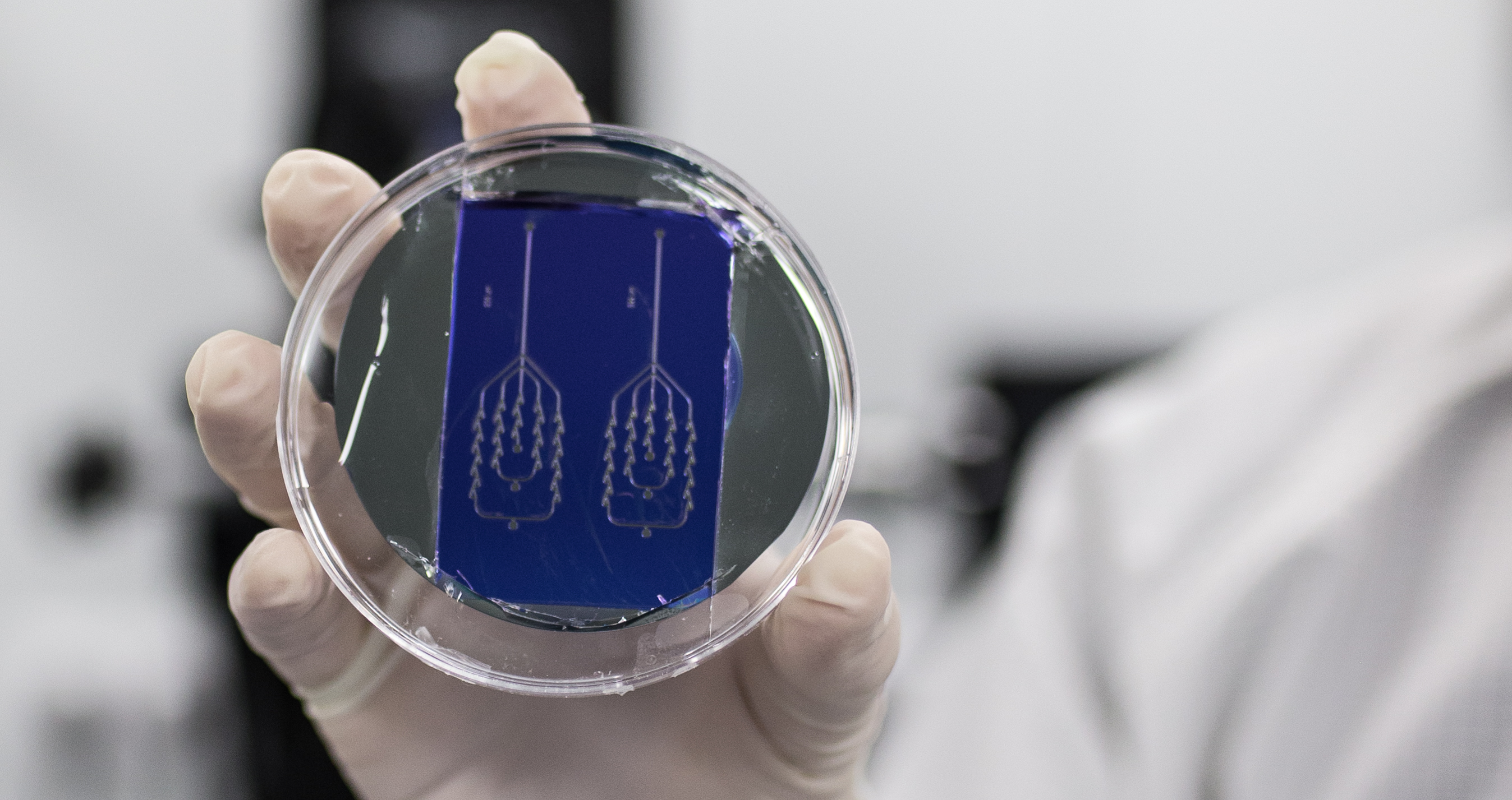 Foto: Nuno Gonçalves