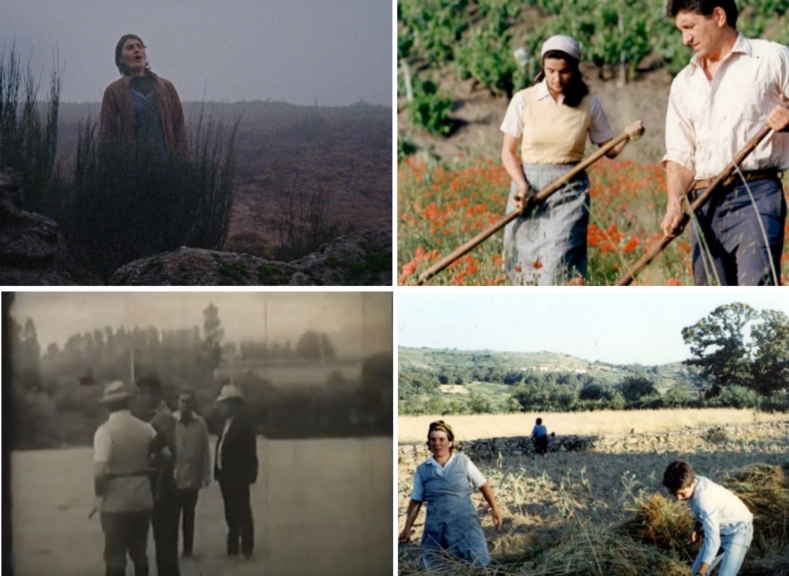 Imagens dos filmes Quando a Terra Foge, Sempre Xonxa e, abaixo, O Documento e Terra de Abril