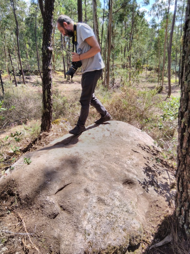 Luís Manuel Coutinho