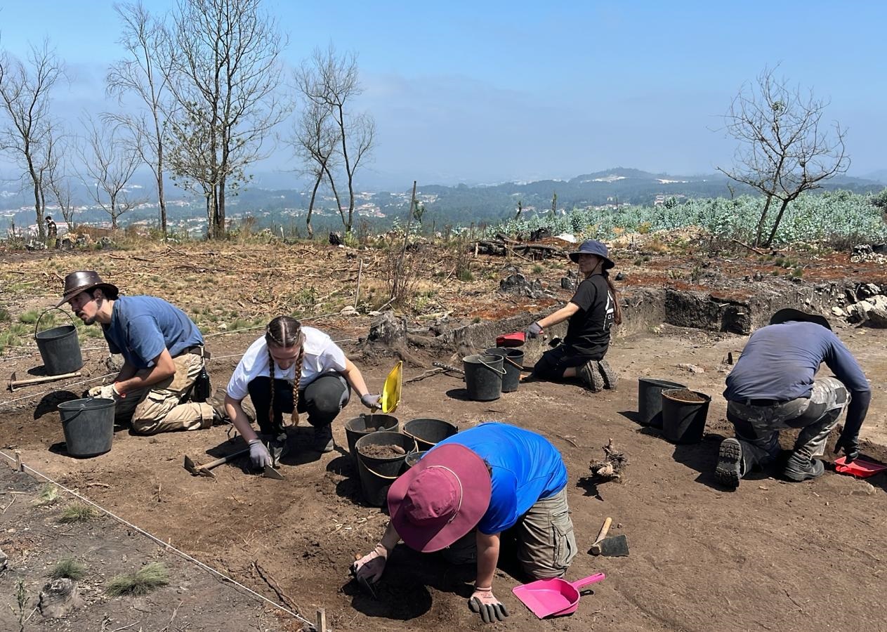 Albergaria-a-Velha - Branca