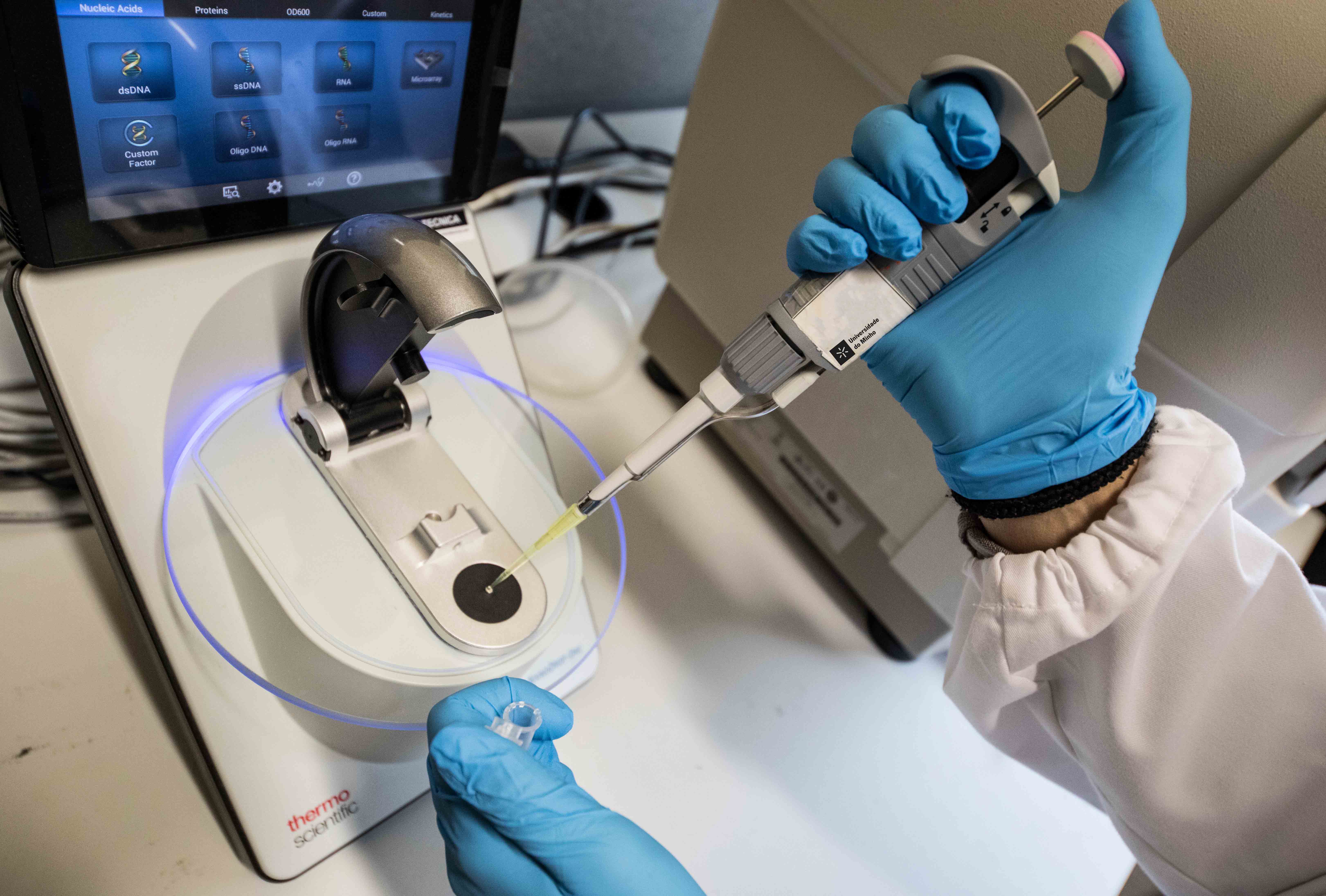 Foto: Nuno Gonçalves