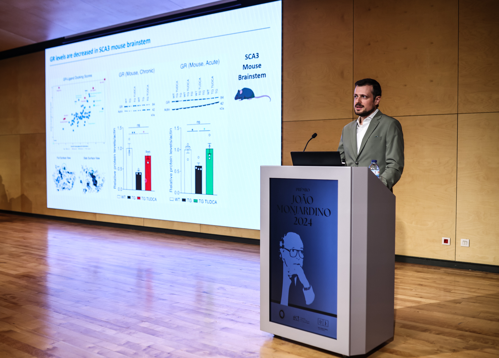 Foto: Nuno Gonçalves