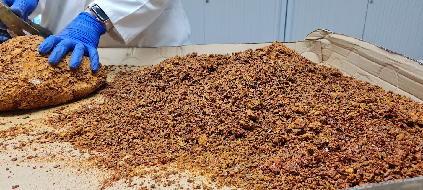 Própolis (foto: Montesino)