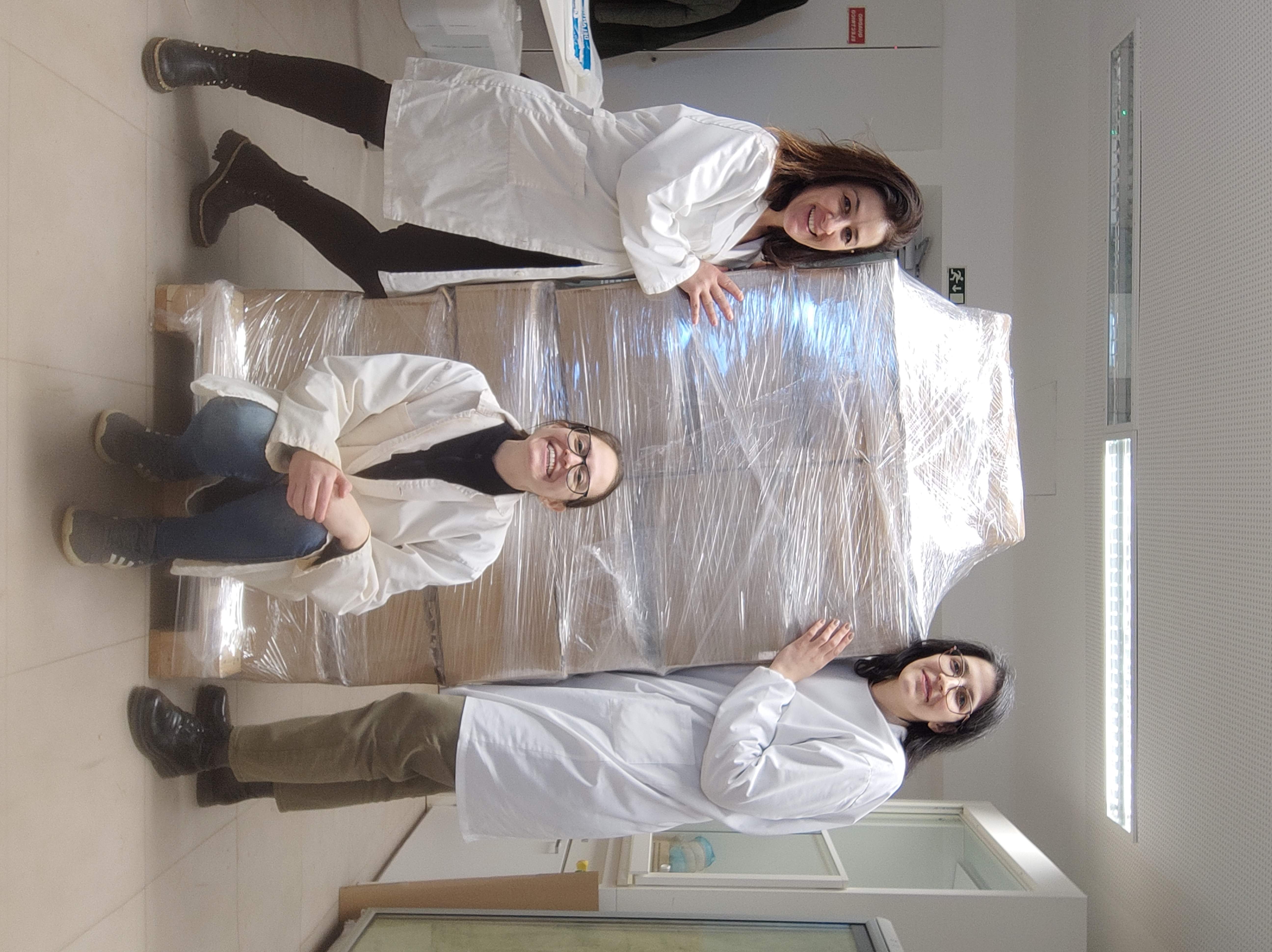 Palete (foto: Montesino)