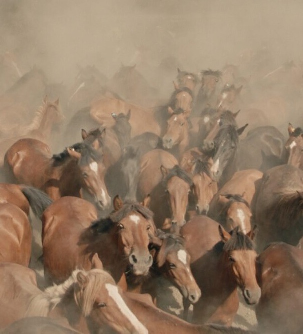 Momento do filme Apenas na Terra (2025)