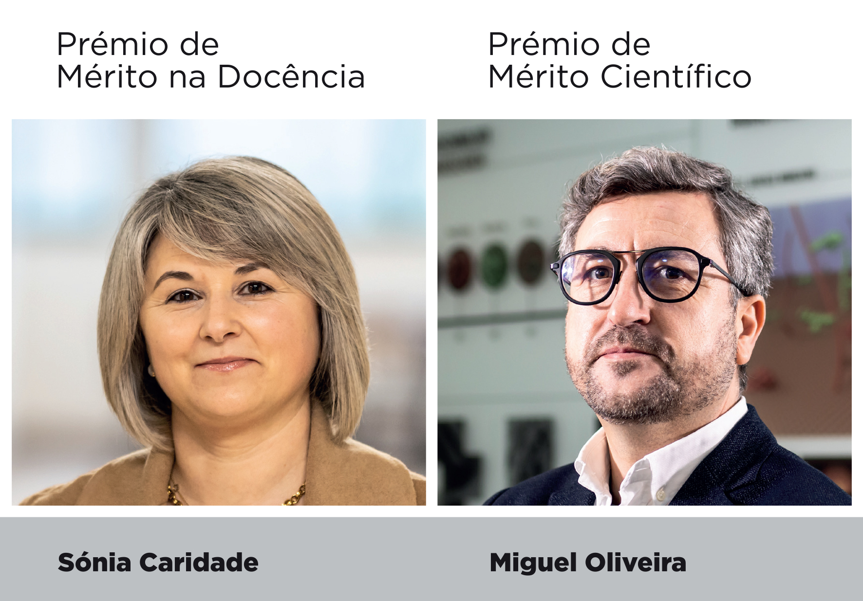 Prémios de Mérito Científico e na Docência 