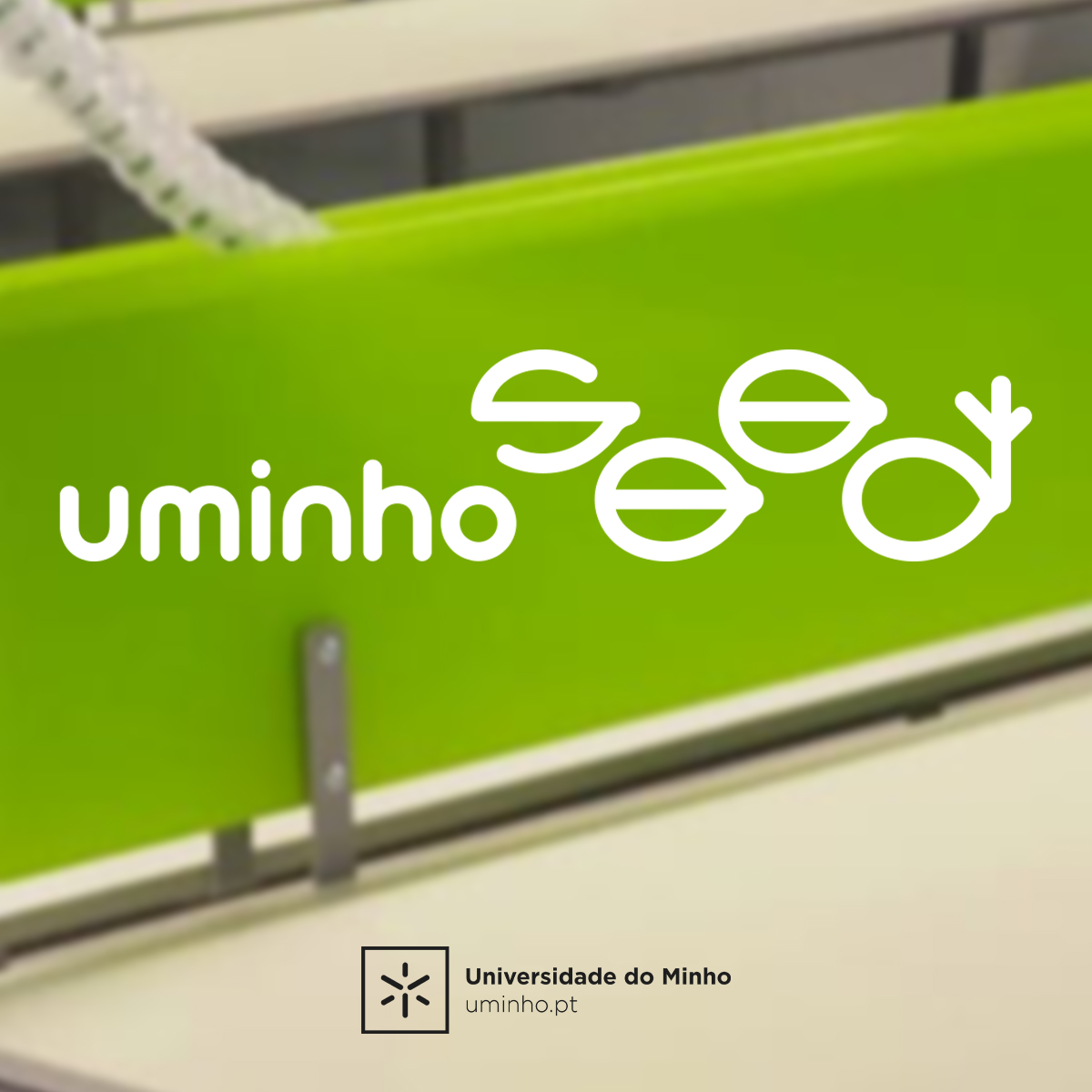 UMinho Seed