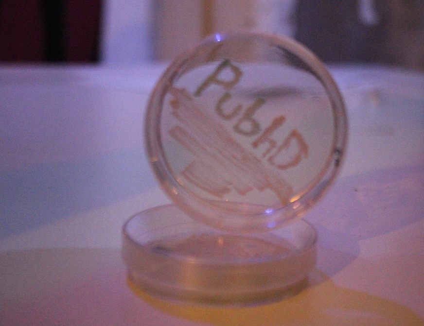 PubhD - logo