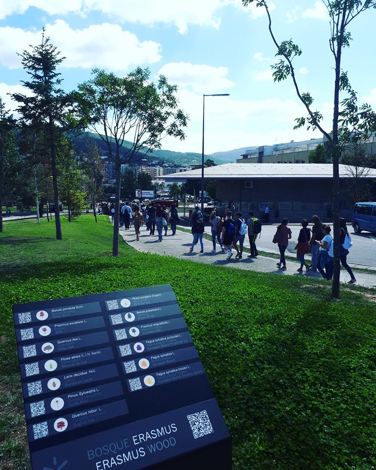 Passagem pelo Bosque Erasmus
