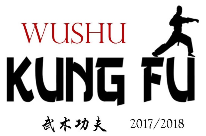 Wushu Kungfu