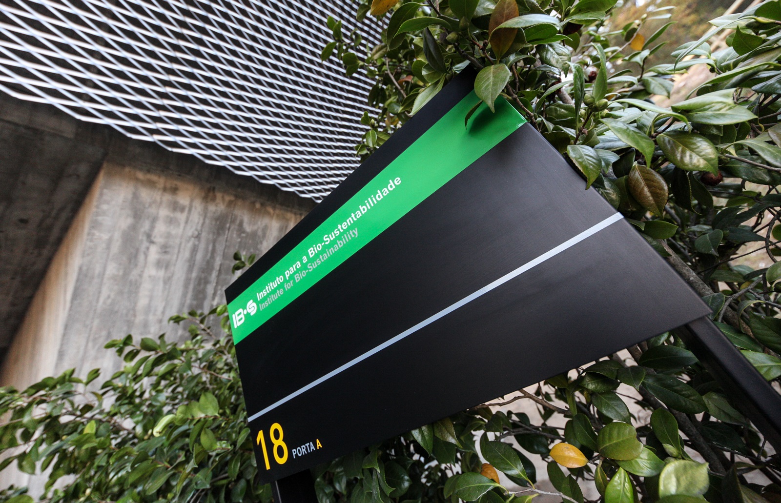 Placa indicativa do IB-S (foto de Nuno Gonçalves/UMdicas)