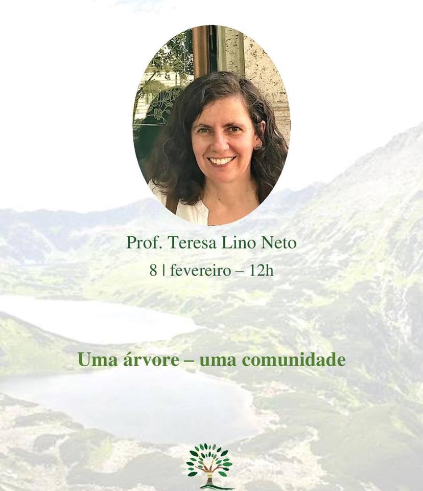 Teresa Lino Neto