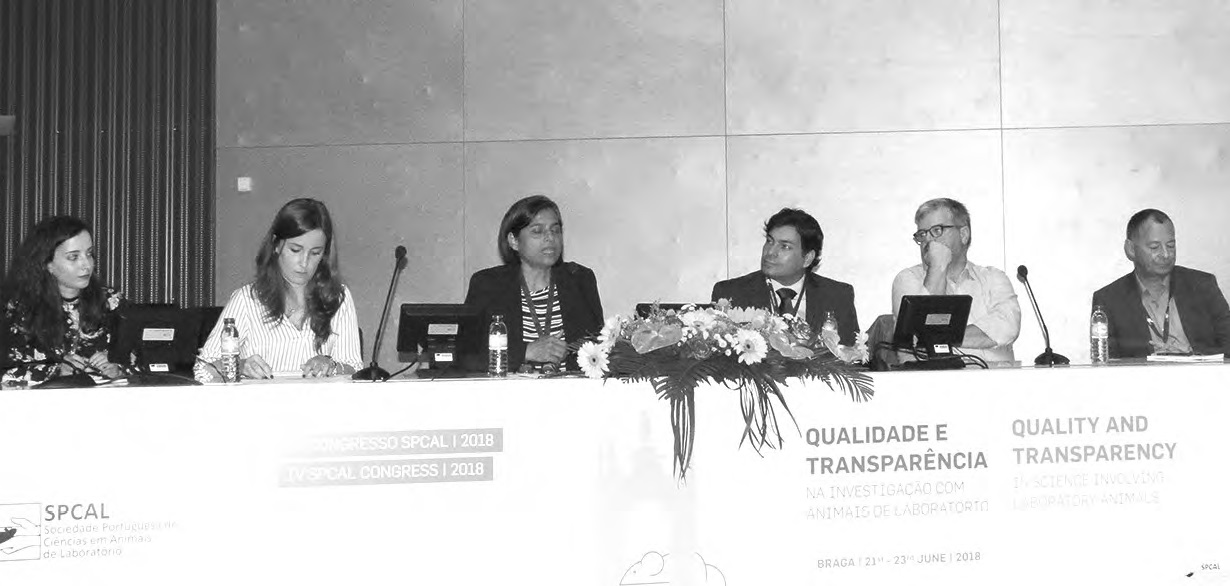 Foto: Francisco Assis/Diário do Minho