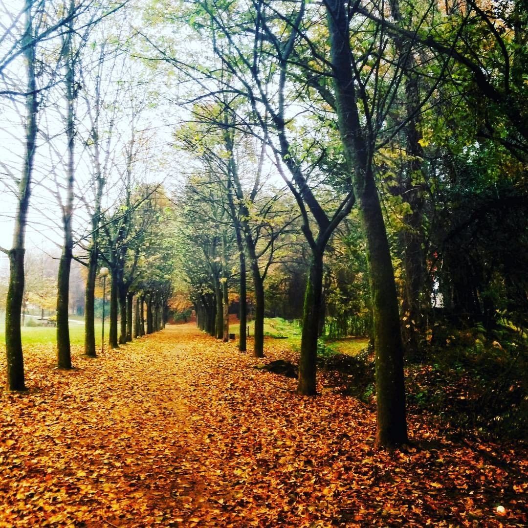 Pormenor do campus de Azurém da UMinho, em Guimarães