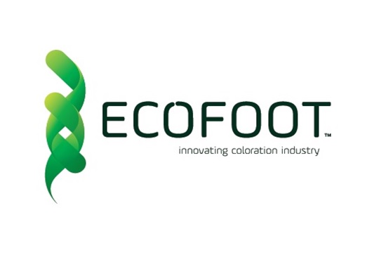 Ecofoot - logo