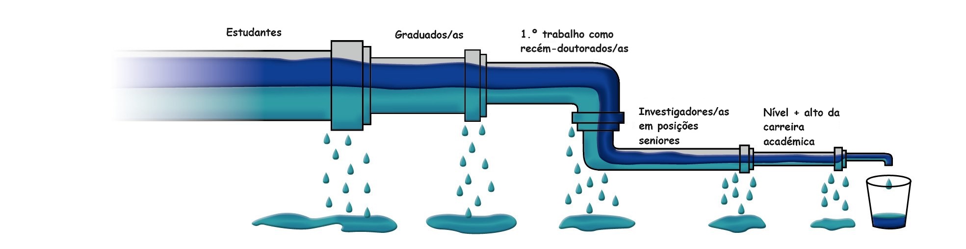 Leaky pipeline_PT.jpg